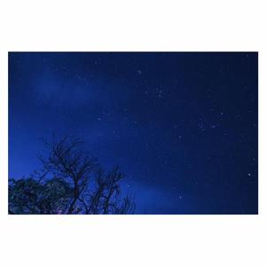 漫画美女扒开腿露胸
