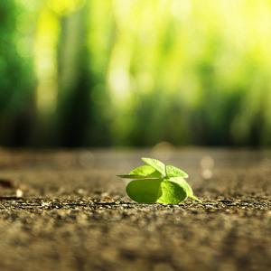 漫画美女扒开腿露胸
